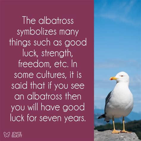 albatross tattoo|what does the albatross symbolize.